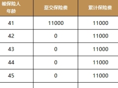 国华人寿恒如意两全保险尊耀版利益演示.xlsx 