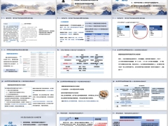 企业家跨境法税需求和以保险信托为核心解决方案48页.pptx 