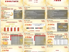 人保寿险财寿尊悦产品形态价值案例展示投资实力41页.pptx 