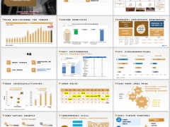 太平洋人寿投资体系实力投研模式与个分红1号简介41页.pptx 