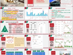 宏观金融市场资产配置分析生命周期表过往及影响31页.pptx 