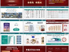 泰康泰盈人生2026幸福有约礼遇版对接标准销售推动41页.pptx 