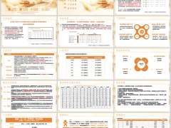 君康一生一世尊享版背景产品介绍规则案例演示17页.pptx