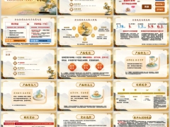 新华宏腾世家产品理念定位特色解析案例演示规则25页.pptx 