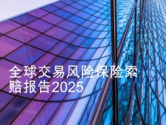 保险行业全球交易风险保险索赔报告29页.pdf 
