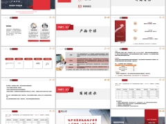 国华恒如意两全保险臻选版开发背景产品介绍案例演示15页.pptx 