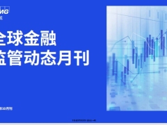 全球金融监管动态月刊第九期10月1日至10月31日35页.pdf 
