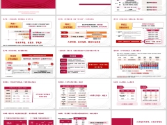 泰康泰享颐年产品介绍案例演示全新个养产品解读22页.pptx