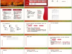 营业区规划增员面谈从三个方面梳理面谈大纲实操29页.pptx 