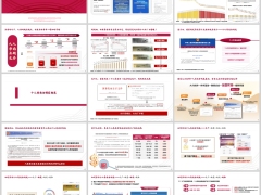 2025长寿时代下个人养老金制度概览解读销售逻辑24页.pptx 