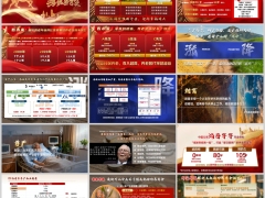 中国太保鸿寿年年年金保险产品五要素案例演示20页.pptx 