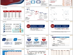 中英福临门C款产品特色责任简述增值服务投保示例16页.pptx