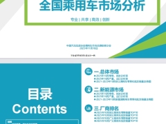 2025年10月份全国乘用车市场分析报告27页.pdf 
