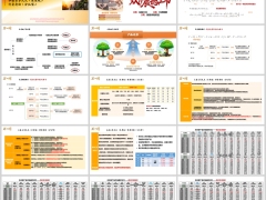 和泰乐享久久未来版分红型产品基础知识优势案例演示19页.pptx 