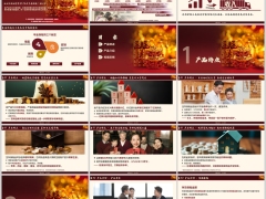 恒安标准恒爱尊享3.0分红型产品特点介绍投保示例31页.pptx 