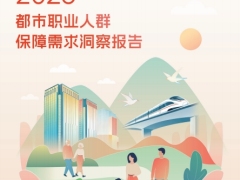 2025年都市职业人群保障需求洞察报告37页.pdf 
