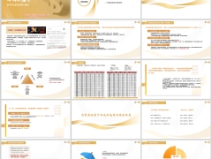 国华安享长盈年金保险产品基本要素及案例演示28页.pptx 