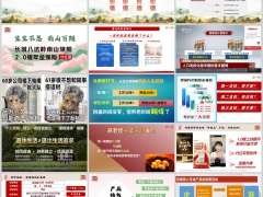 长城八达岭南山旗舰2.0版分红型产品特色就医绿通介绍38页.pptx 