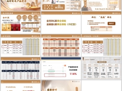 阳光公司介绍实力金吉利G金稳盈G分红险案例简介14页.pptx 