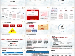 合众众盈金生荣耀版2026分红型产品介绍健康服务案例32页.pptx 