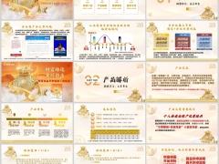 新华财富恒盈背景介绍产品解析案例演示服务支持20页.pptx 