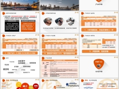 富德生命鸿利宝分红型产品公司介绍亮点增值服务20页.pptx 