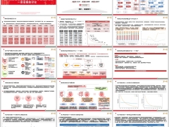 中信保诚资管资金运用框架分红险策略资管平台23页.pptx 