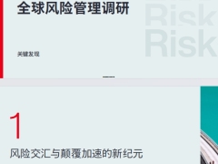 2025全球风险管理调研30页.pdf 