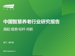 2025年中国智慧养老行业研究报告31页.pdf 