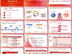 太保鑫福岁优产品解码产品五要素表五大价值案例案例18页.pptx 