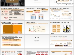 分红险优势特点太保公司介绍股东实力投研能力项目示例37页.pptx 