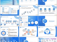 组织发展专业流程七大步骤增员日周运作配套支持35页.pptx 