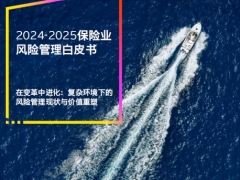 2024至2025保险业风险管理白皮书113页.pdf 