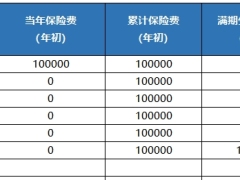 新华人寿金穗宝两全保险利益演示供银行签约使用.xlsx 