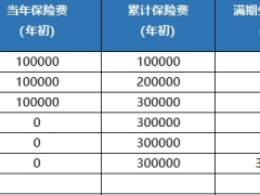 新华人寿鑫意农两全保险利益演示供银行签约使用.xlsx 