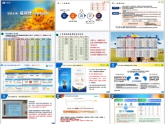 中英福满佳C款产品形态产品案例解析公司介绍19页.pptx 