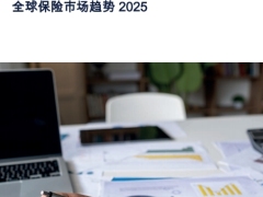 2025全球保险市场趋势58页.pdf 