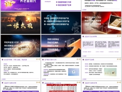 华泰鑫盛世产品亮点目标群体缺口分析解决方案案例演示33页.pptx 