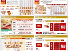 中国人寿鑫鸿福养老年金保险分红型10年期产品简介10页.pptx 