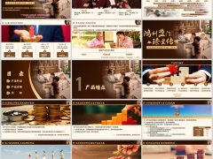 恒安标准传世臻盈终身寿险粉红色产品特点详情示例38页.pptx 