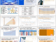 保险资金运作视角太保投资及个分红1号账户介绍37页.pptx 