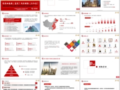 信泰如意福富贵分红险公司介绍保险责任投保规则案例24页.pptx 