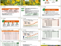 中英福满盈终身寿险C款分红型产品介绍特色产品示例19页.pptx 