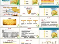 新华金穗宝两全保险理念产品解析案例演示运营规则18页.pptx 