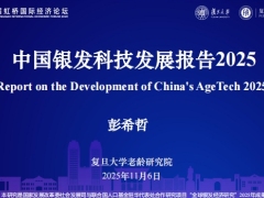 2025中国银发科技发展报告34页.pdf 