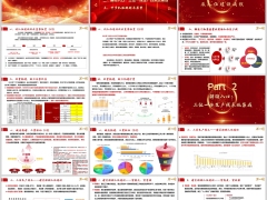2025个险队伍建设三位一体生产线成效总结2026规划展望32页.pptx 