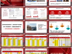 2026国华安享长盈产品优势案例演示专属福利宣传片20页.pptx 