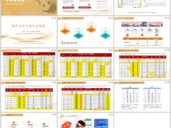 国华安享长盈年金保险背景产品优势基础知识解析案例15页.pptx 
