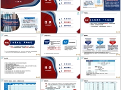 中英福临门两全保险C款开发背景特色与服务规则示例17页.pptx 