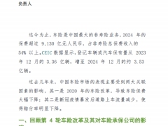 2025中国车险市场现状报告13页.pdf 